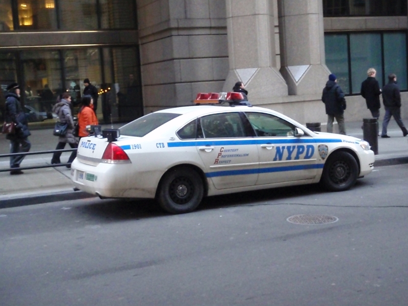 P1101561.JPG - OLYMPUS DIGITAL CAMERA         