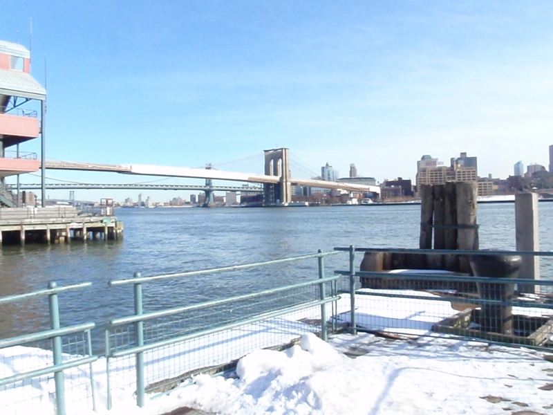 P1101583.JPG - OLYMPUS DIGITAL CAMERA         