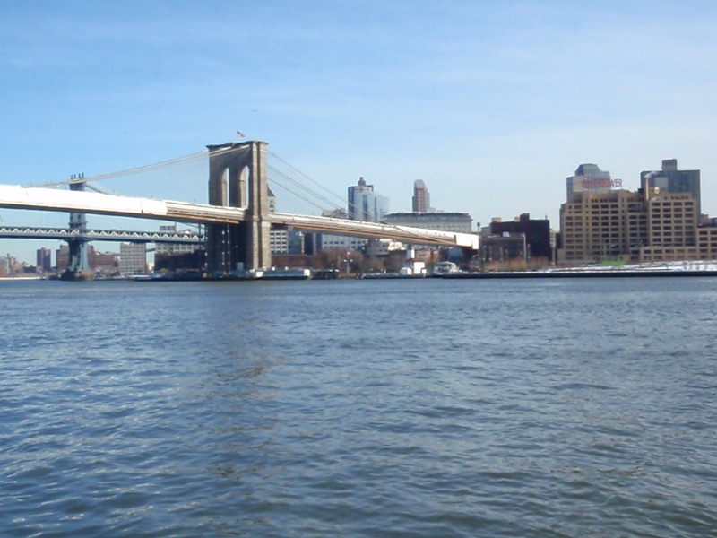 P1101604.JPG - OLYMPUS DIGITAL CAMERA         